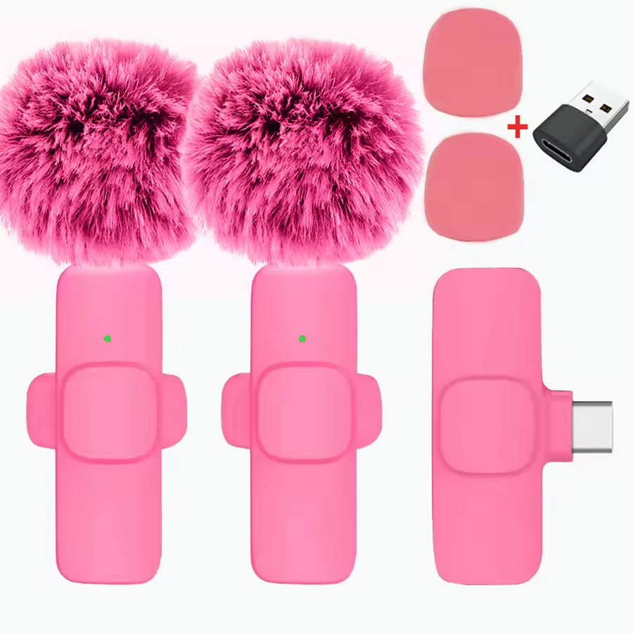 Mini microphone