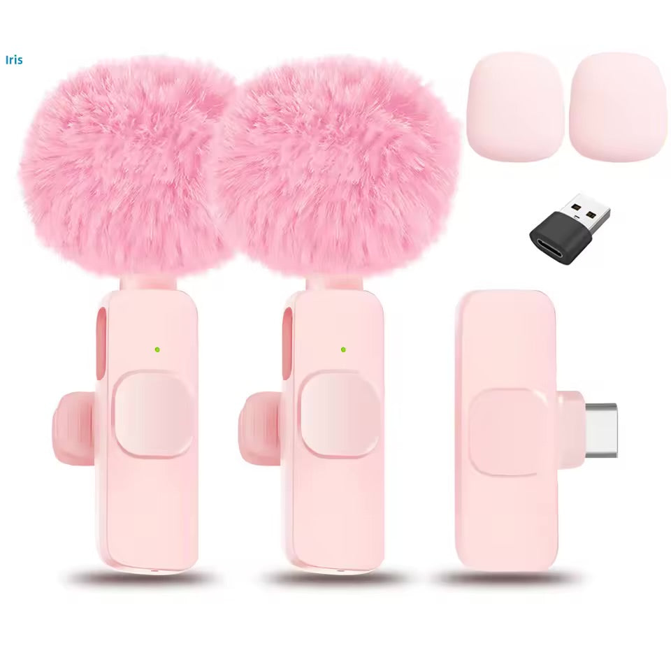 Mini microphone